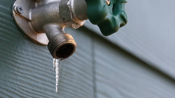 Best Affordable Plumber Near Me  in Vidor, TX